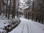 DSC01996.jpg