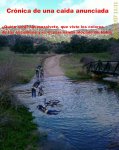 200902071111_00150.jpg