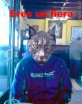 200902071327_00148.jpg