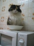 fotos 479.jpg