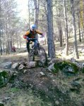 200902081258_00187.jpg