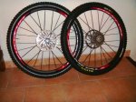 DSC04520.JPG
