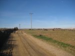 IMG_0004.jpg