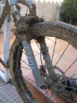 IMG_0003_1.jpg