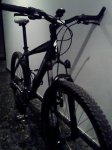 fotos movil 029.jpg