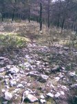 Imagen016.jpg