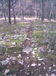 Imagen017.jpg