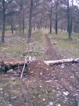 Imagen018.jpg