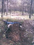 Imagen020.jpg