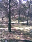 Imagen022.jpg