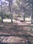 Imagen025.jpg