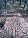 Imagen026.jpg