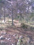 Imagen027.jpg