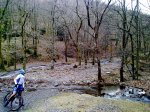 09022009573.jpg