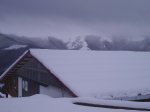 mtb  8-2-09 002.jpg