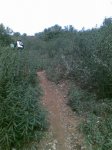 Imagen048.jpg