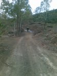 Imagen043.jpg