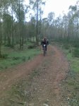 Imagen032.jpg