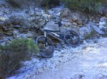 DSC00161.jpg
