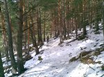 10022009(005).jpg