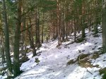 10022009(007).jpg