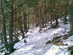 10022009(009).jpg