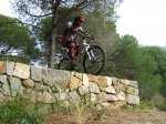 DSCF7550.JPG