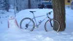 DSC01286.jpg
