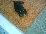 imag0032.jpg