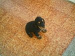 imag0033.jpg