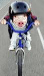 ATT996663[1].gif
