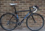 parlee.jpg