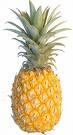 piÃ±a.jpg