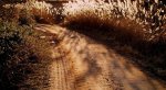 P1010006.60.jpg