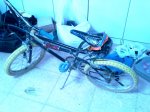 IMAG0226.jpg