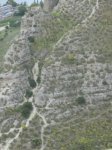 06.jpg