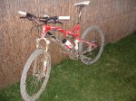DSC00966.jpg