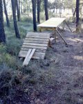 DSC00039.jpg