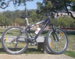 IMGP3342 specialized.jpg