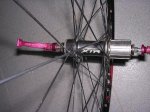 DSCN3298.JPG