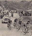 19511302[1].jpg