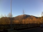 IMG00157.jpg