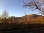 IMG00158.jpg