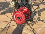 cannondale 035.jpg
