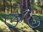 Trek Remedy 015.jpg