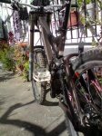 P110209_14.18%5B01%5D.jpg