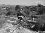 P1020649.gif