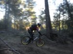 DSC05803.jpg