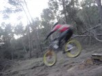 DSC05799.jpg