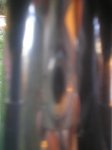 P1010107.jpg